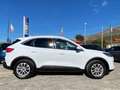 Ford Kuga Kuga III 2020 2.0 ecoblue Titanium 2wd 120cv auto Blanc - thumbnail 8
