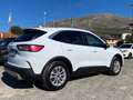 Ford Kuga Kuga III 2020 2.0 ecoblue Titanium 2wd 120cv auto Blanc - thumbnail 7