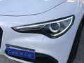 Alfa Romeo Stelvio 2.2 t B-Tech Q4 190cv auto - thumbnail 13