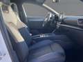CUPRA Leon 2.0 TSI VZ DSG LED+NAV+BEATS+RFK+ACC+SHZ+19 Weiß - thumbnail 12