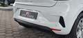 Renault Clio V Evolution*CAMERA* Weiß - thumbnail 10
