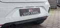 Renault Clio V Evolution*CAMERA* Weiß - thumbnail 9