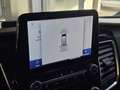 Ford Transit Custom Kasten 2,0 TDCi L1H1 340 Limited Aut. *AHK, RF-... Grau - thumbnail 16