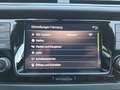 Skoda Fabia Combi TSI Active Klima PDC SH LM Blau - thumbnail 21