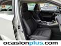 Lexus NX 300 300h Business Navigation 2WD Blanc - thumbnail 18