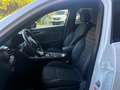 Alfa Romeo Tonale Tonale 1.6 Sprint 130cv tct6 Bianco - thumbnail 5