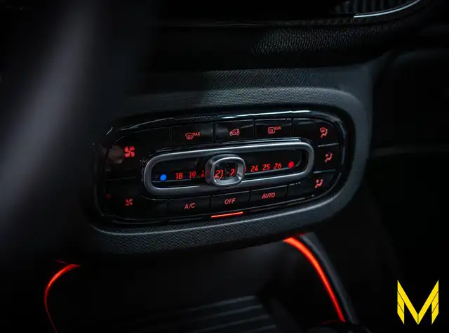 Smart Fortwo view 11