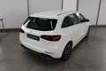 Mercedes-Benz B 220 4M Progressive Line Adv. LED Kamera AHK Weiß - thumbnail 19