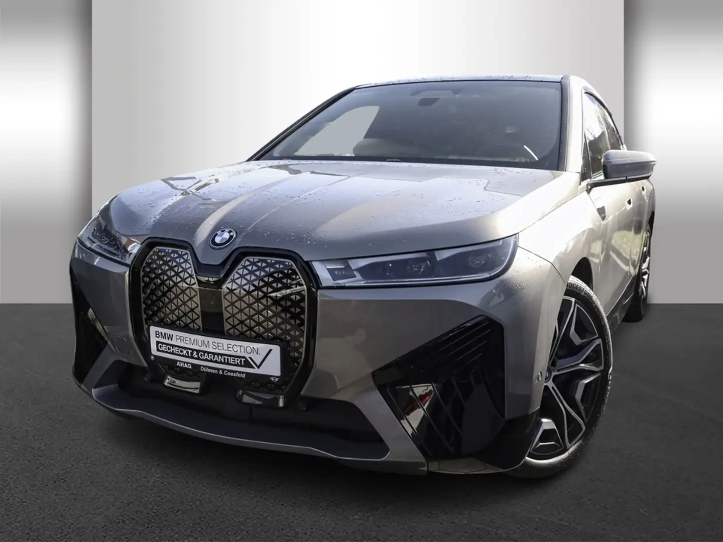 BMW iX xDrive50 Klimaaut. AHK Komfortzugang Grau - 2