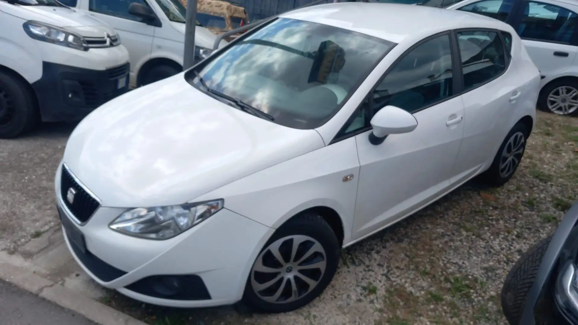 SEAT Ibiza TDI 1400 Bianco - 1