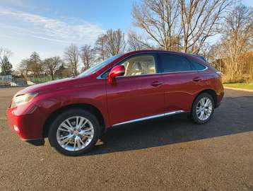 (hybrid) Executive Line