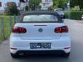 Volkswagen Golf Cabriolet Basis Comfortline *WENIG KM *TEILLEDER *APPLE CAR bijela - thumbnail 7
