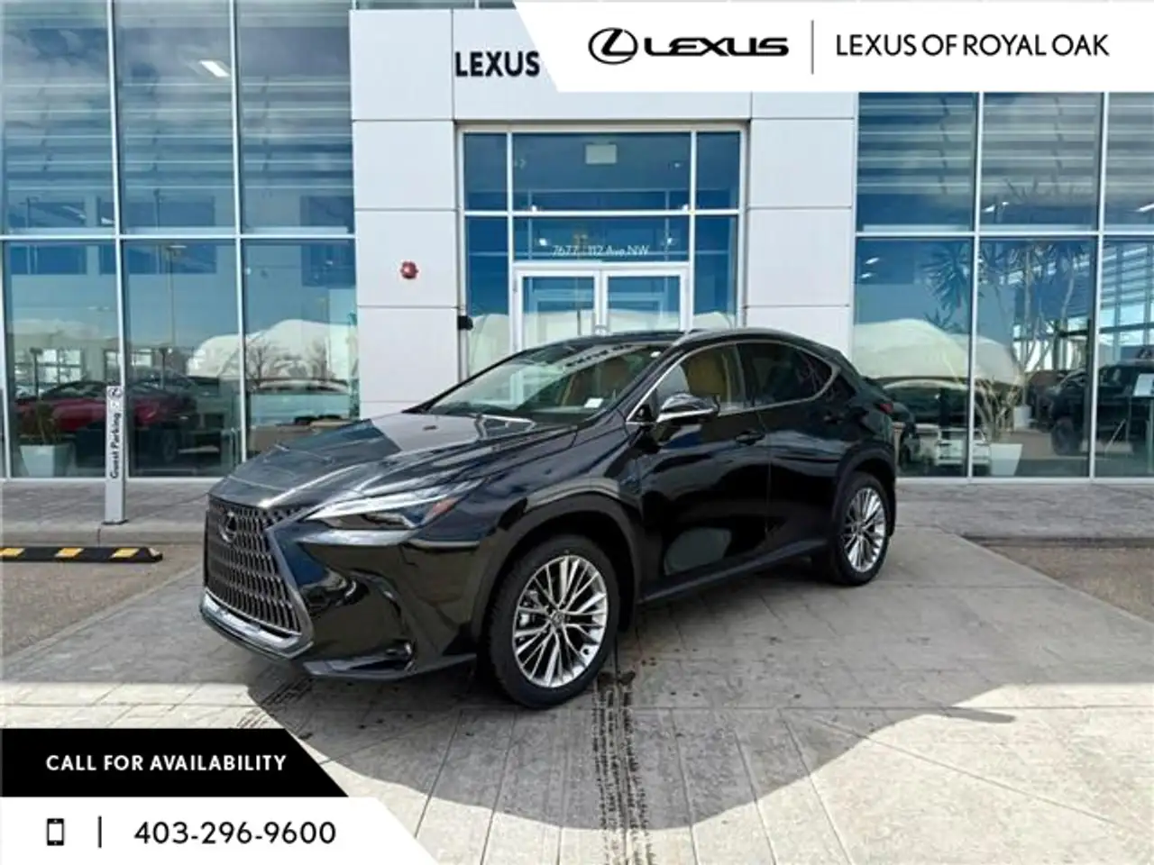 2026 Lexus NX