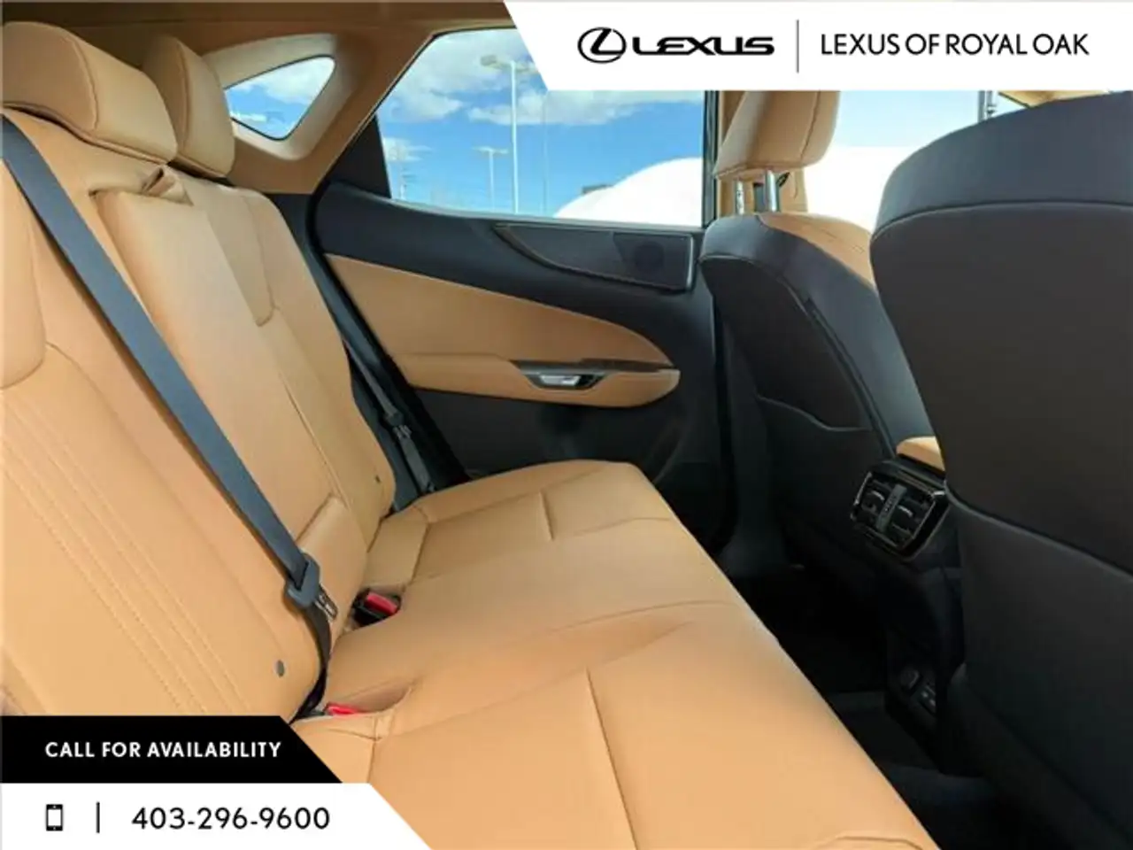 Lexus NX photo Lexus NX