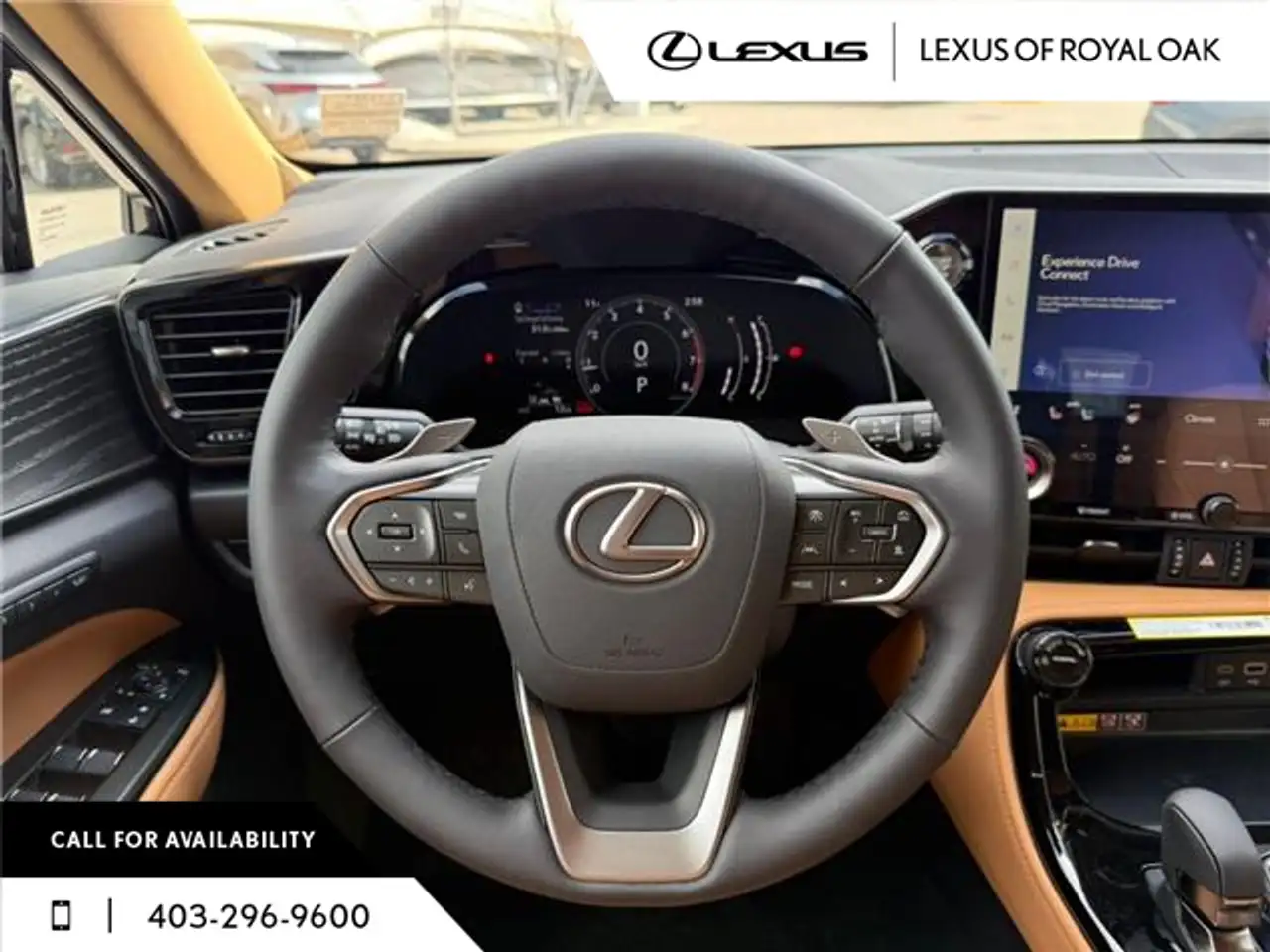 Lexus NX photo Lexus NX