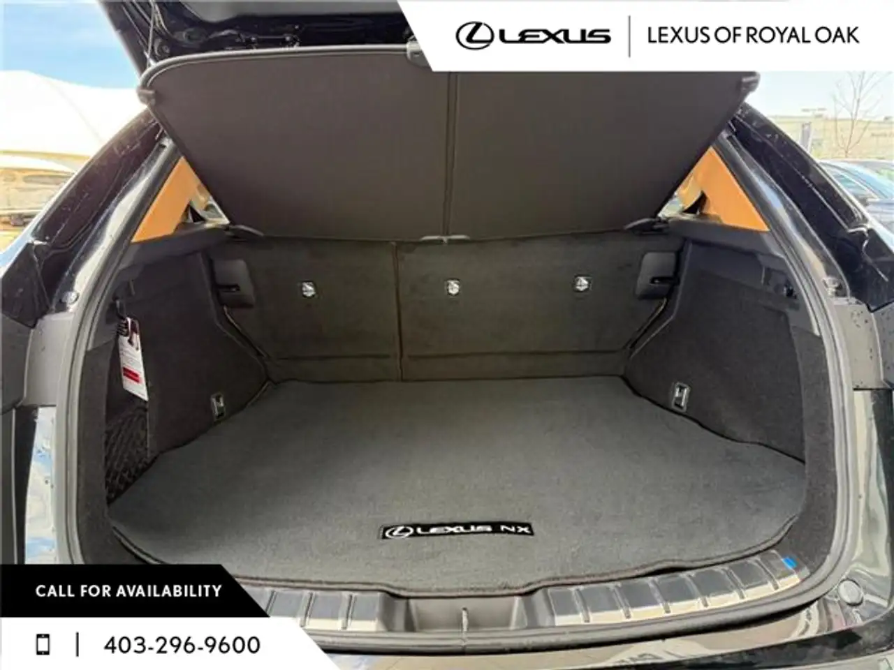Lexus NX photo Lexus NX