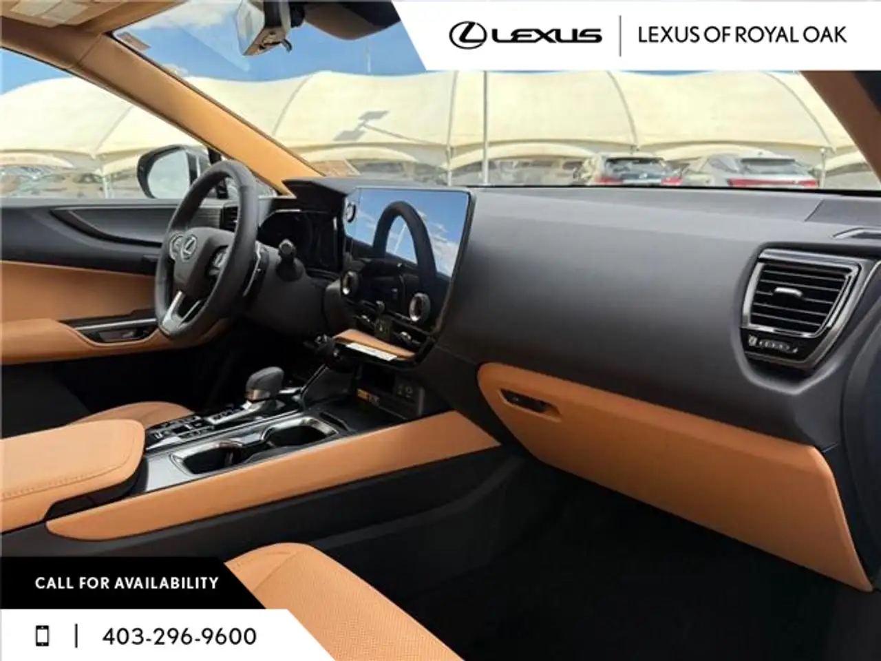 Lexus NX photo Lexus NX