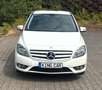Mercedes-Benz B 180 CDI*NAVI*8X REIFEN*WEISS*SHZ*NEU MODEL* Weiß - thumbnail 6