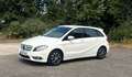 Mercedes-Benz B 180 CDI*NAVI*8X REIFEN*WEISS*SHZ*NEU MODEL* Weiß - thumbnail 8