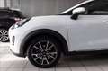 Ford Puma 1.0 ecoboost h Titanium s&s 125cv auto Bianco - thumbnail 7