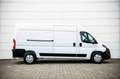 Fiat Ducato 2.2 160pk MultiJet AUT. L3H2 MARGE |Navi|Camera|Ca Wit - thumbnail 7