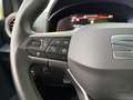 SEAT Arona 1.0 TSI S&S X-Perience Special Edition DSG7 115 Verde - thumbnail 23
