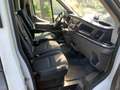 Ford Transit 350 L3 Trend Weiß - thumbnail 5
