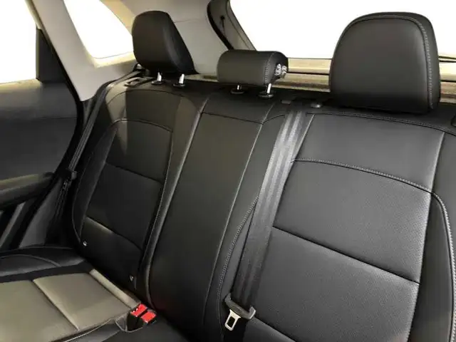 MG ZS view 9