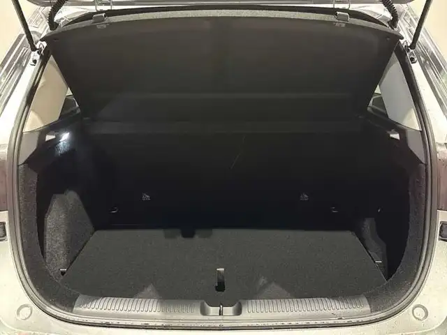 MG ZS view 7