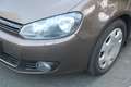 Volkswagen Golf Variant TDI 2.0, Pano, Marrón - thumbnail 17