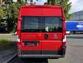 Fiat Ducato Kasten 33 L4H2, 3 SITZER, KLIMA, PARKTRONIK Rot - thumbnail 6