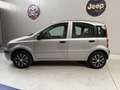 Fiat Panda 1.2 Alessi - thumbnail 2
