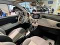 Fiat 500 Cabrio Collezione Sport Edition -Wenig Km Weiß - thumbnail 12