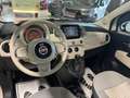 Fiat 500 Cabrio Collezione Sport Edition -Wenig Km Weiß - thumbnail 16