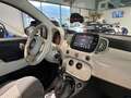 Fiat 500 Cabrio Collezione Sport Edition -Wenig Km Weiß - thumbnail 13