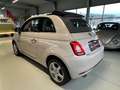 Fiat 500 Cabrio Collezione Sport Edition -Wenig Km Weiß - thumbnail 8