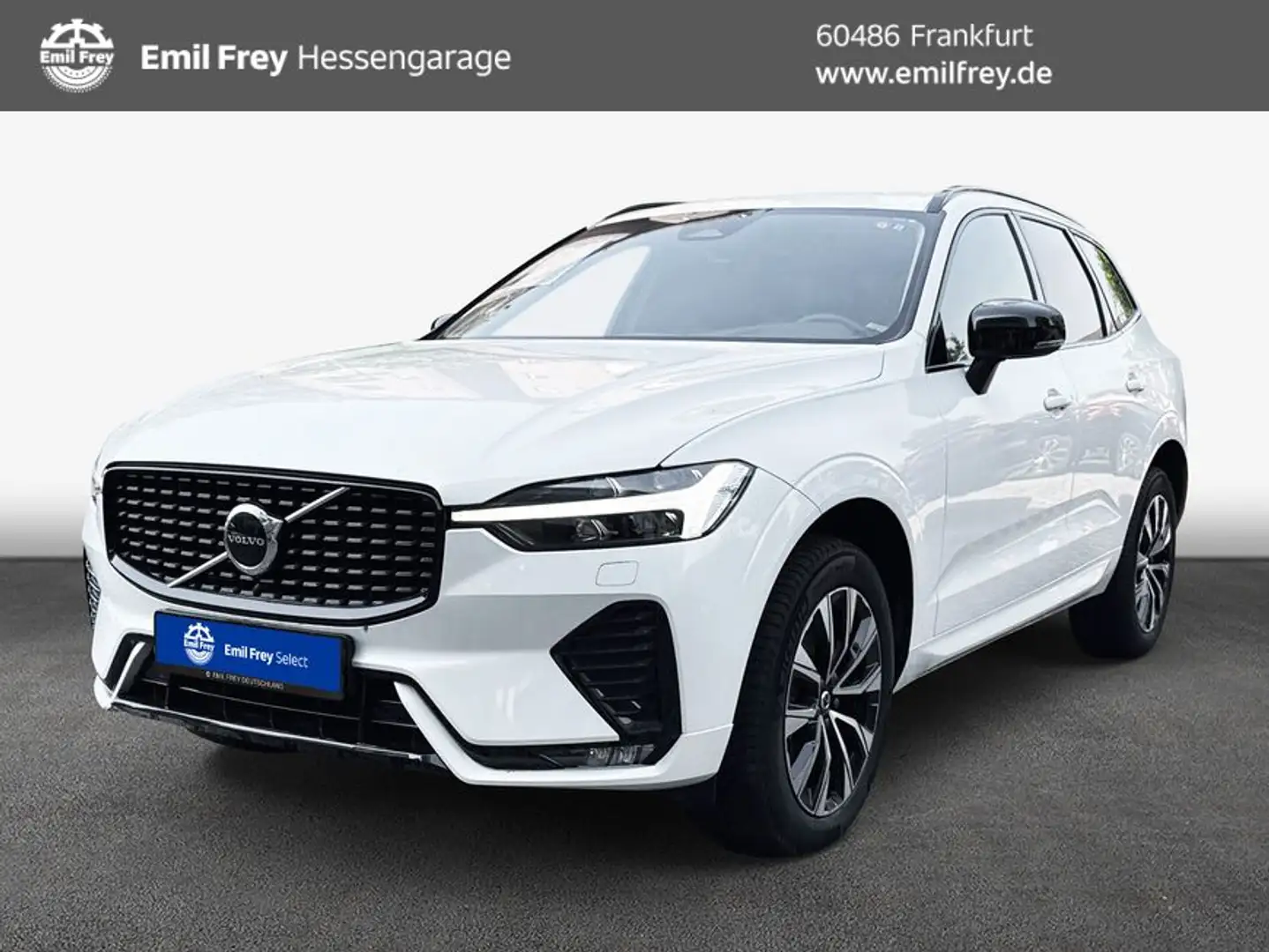 Volvo XC60 XC60 B4 AWD Plus-Dark Aut ACC BLIS AHK LEDER Weiß - 1