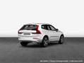 Volvo XC60 XC60 B4 AWD Plus-Dark Aut ACC BLIS AHK LEDER Bianco - thumbnail 2