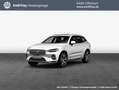 Volvo XC60 XC60 B4 AWD Plus-Dark Aut ACC BLIS AHK LEDER Bianco - thumbnail 1