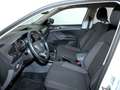 Volkswagen T-Cross ADVANCE 1.0 TSI 110CV Blanc - thumbnail 10