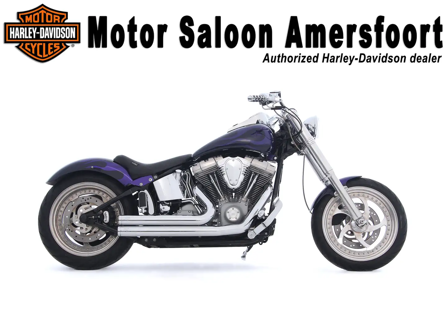 Harley-Davidson Softail FXST STANDARD CUSTOM BUILD Violett - 1