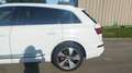 Audi Q7 Q7 3.0 V6 TDI Clean Diesel 272 Tiptronic 8 Quattro 7pl S line Blanc - thumbnail 4