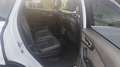 Audi Q7 Q7 3.0 V6 TDI Clean Diesel 272 Tiptronic 8 Quattro 7pl S line Blanc - thumbnail 12
