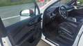 Audi Q7 Q7 3.0 V6 TDI Clean Diesel 272 Tiptronic 8 Quattro 7pl S line Blanc - thumbnail 17