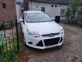 Ford Focus Turnier 1.6 TDCi ECOnetic 88g Start-Stopp-Sy Trend - thumbnail 3