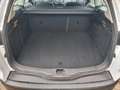 Ford Focus Turnier 1.6 TDCi ECOnetic 88g Start-Stopp-Sy Trend - thumbnail 11