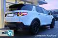 Land Rover Discovery Sport Discovery Sport 2.0 eD4 150cv 2WD Pure Weiß - thumbnail 3