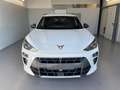 CUPRA Terramar 1.5 eTSI DSG Matrix+Kessy+AHK+eHeck+Dinamica+Ca... Weiß - thumbnail 2