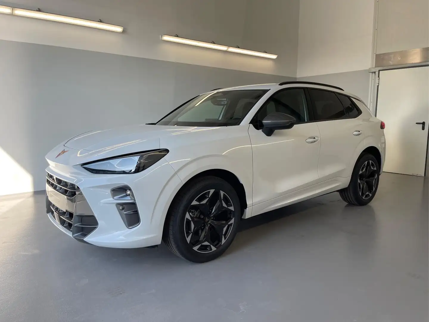 CUPRA Terramar 1.5 eTSI DSG Matrix+Kessy+AHK+eHeck+Dinamica+Ca... Weiß - 1