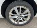 Skoda Octavia 2x Octavia 2019 *Limo*1.6 TDI*Navigation* Weiß - thumbnail 15